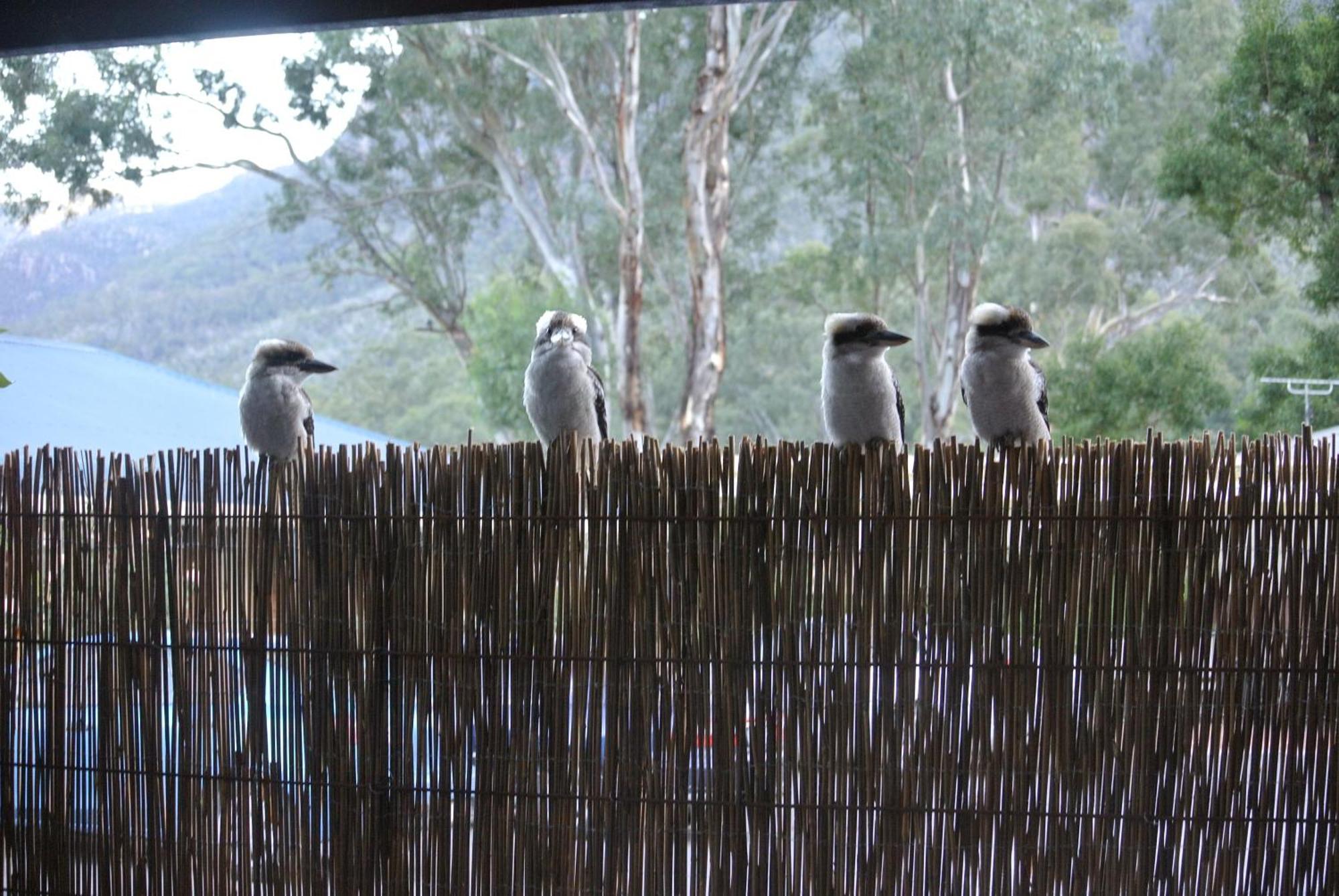 Kookaburra Motor Lodge Halls Gap Exterior foto